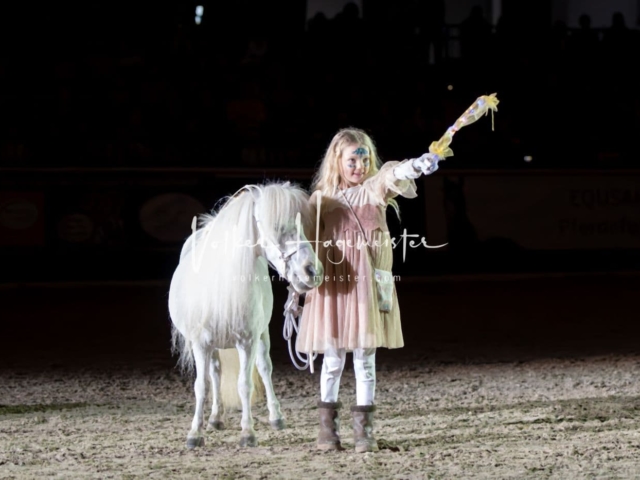 PSB Schaunachmittag 7