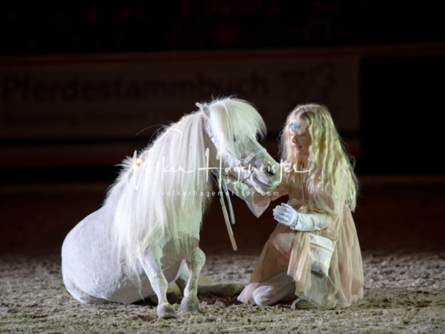 PSB Schaunachmittag 8