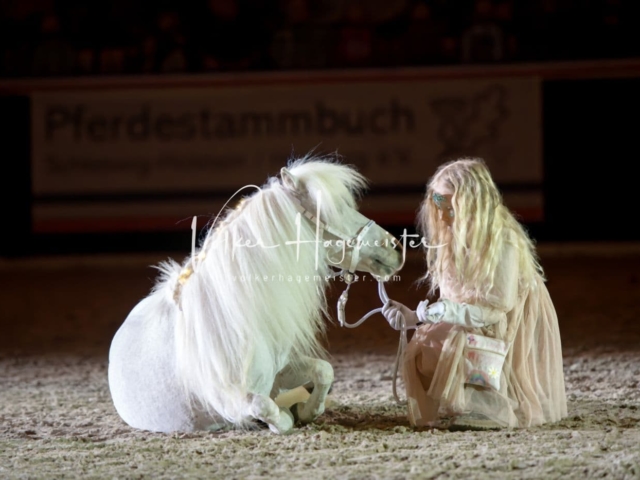 PSB Schaunachmittag 9