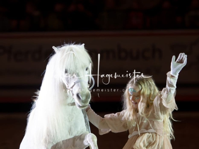 PSB Schaunachmittag 10