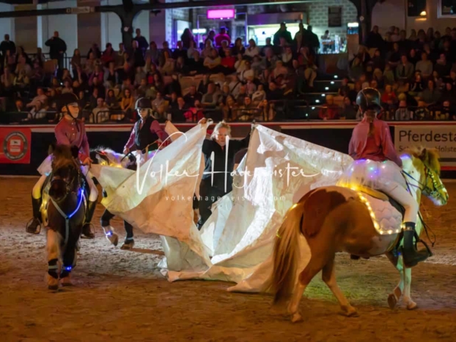 PSB Schaunachmittag 11