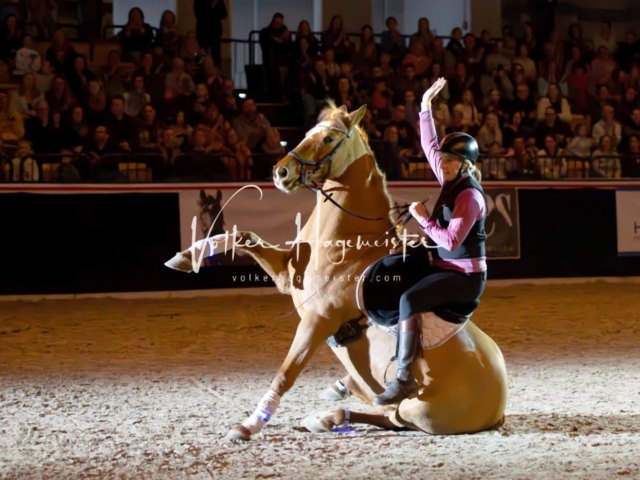 PSB Schaunachmittag 12