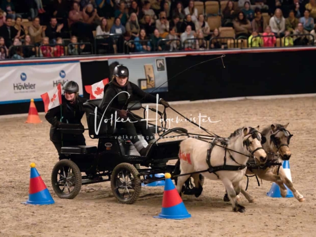 PSB Schaunachmittag 13