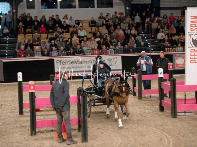 PSB Schaunachmittag 15