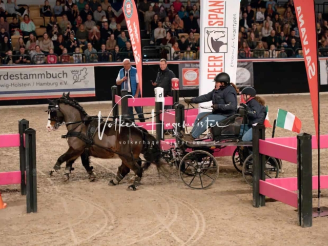 PSB Schaunachmittag 17