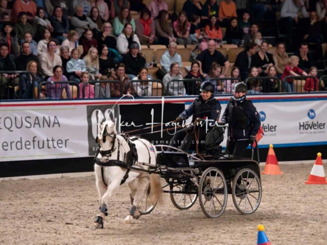 PSB Schaunachmittag 18