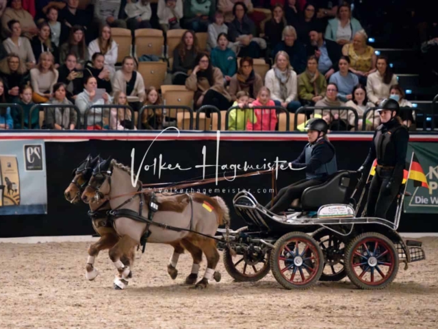 PSB Schaunachmittag 19