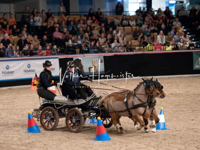 PSB Schaunachmittag 20