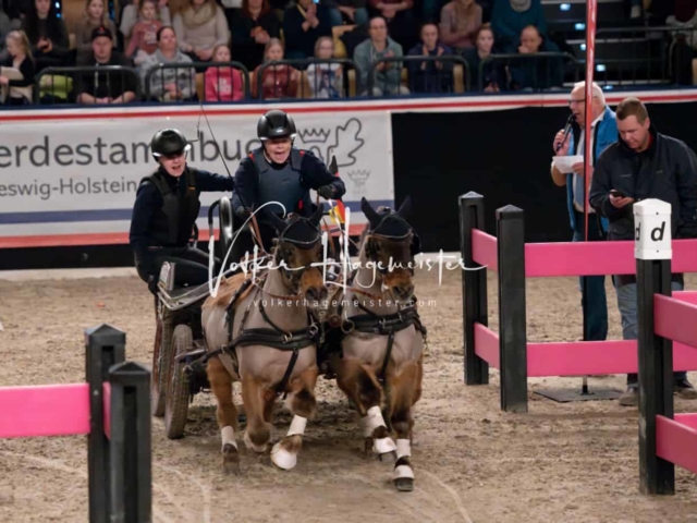 PSB Schaunachmittag 21