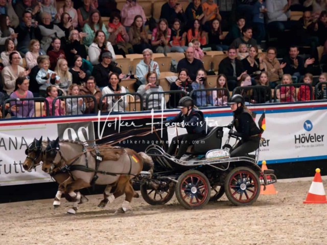 PSB Schaunachmittag 22