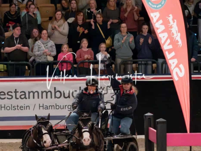 PSB Schaunachmittag 23