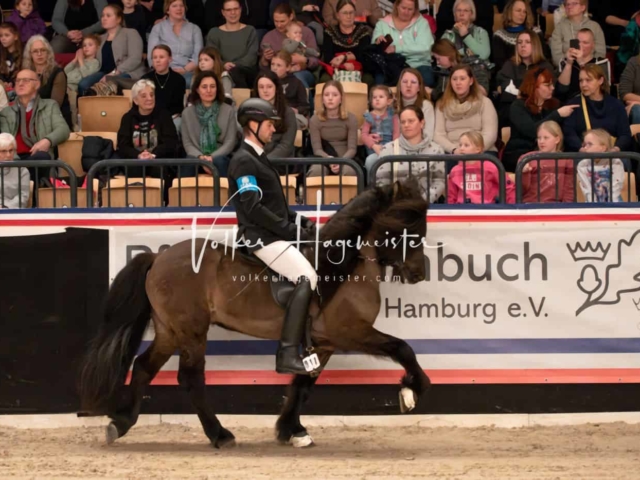 PSB Schaunachmittag 4