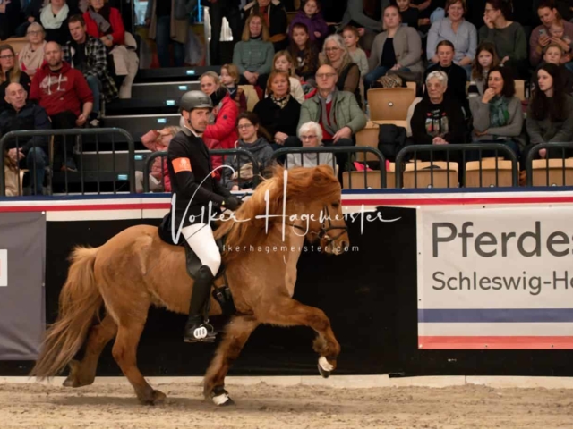 PSB Schaunachmittag 5