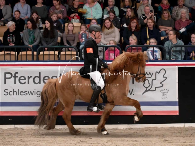 PSB Schaunachmittag 7