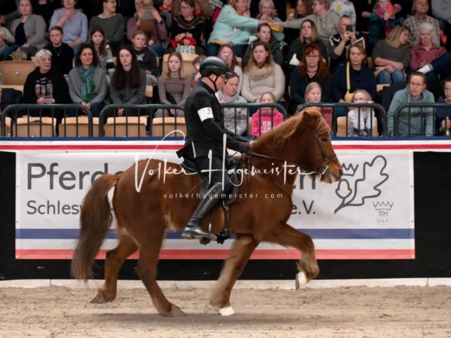 PSB Schaunachmittag 8