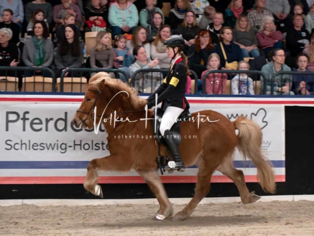 PSB Schaunachmittag 9