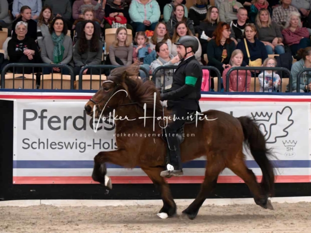 PSB Schaunachmittag 10