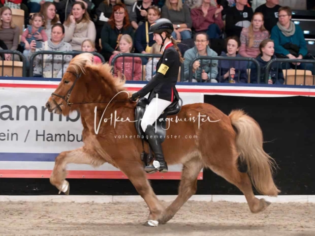 PSB Schaunachmittag 11