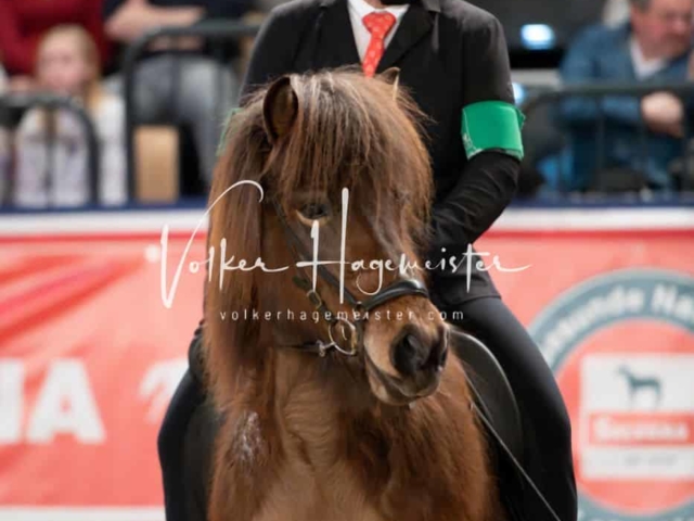 PSB Schaunachmittag 12