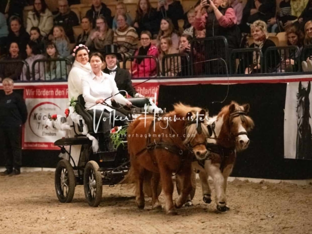 PSB Schaunachmittag 30