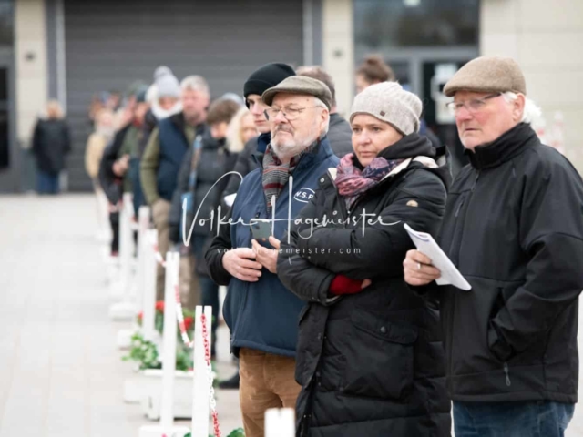 PSB Körung unsortiert 12
