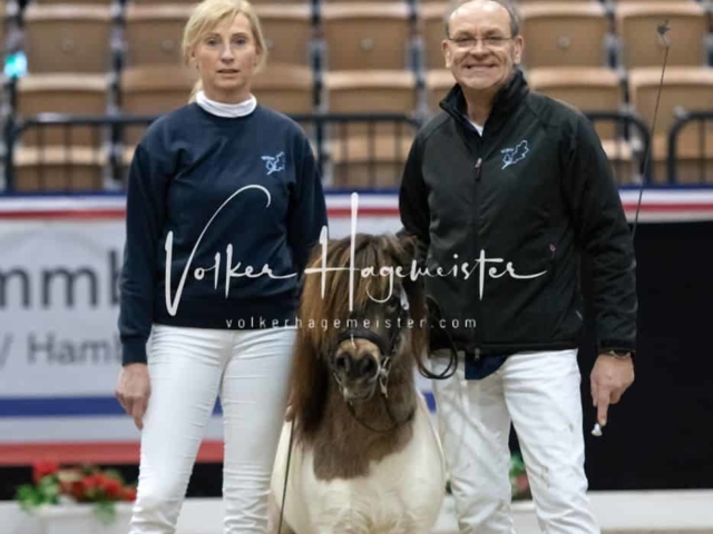 PSB Körung unsortiert 20