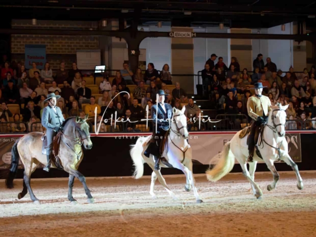 PSB Schaunachmittag 18