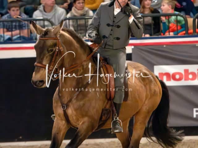 PSB Schaunachmittag 20