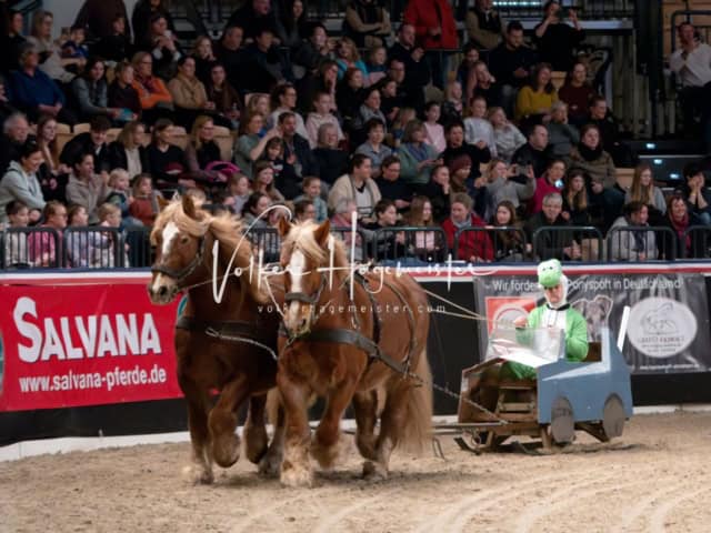 PSB Schaunachmittag 22