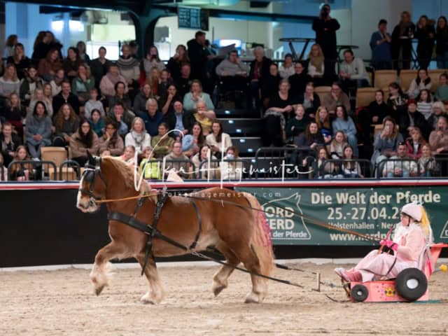 PSB Schaunachmittag 23