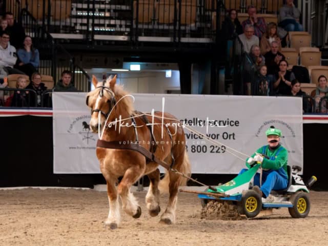 PSB Schaunachmittag 24