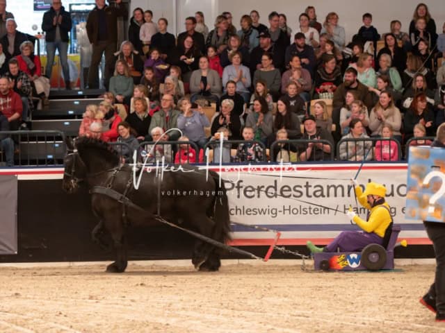 PSB Schaunachmittag 25