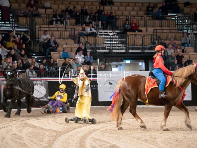 PSB Schaunachmittag 26