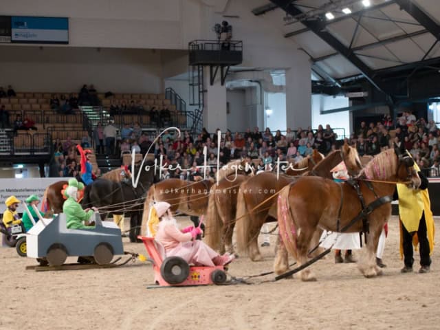 PSB Schaunachmittag 27