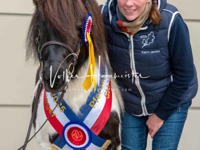 PSB Körung Sieger mehr folgt 25