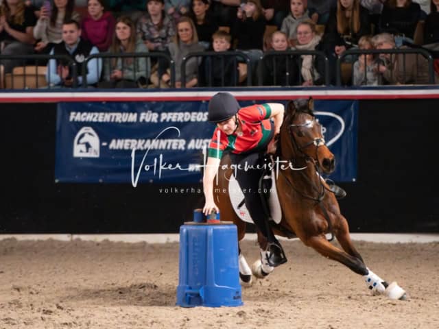 PSB Schaunachmittag 28