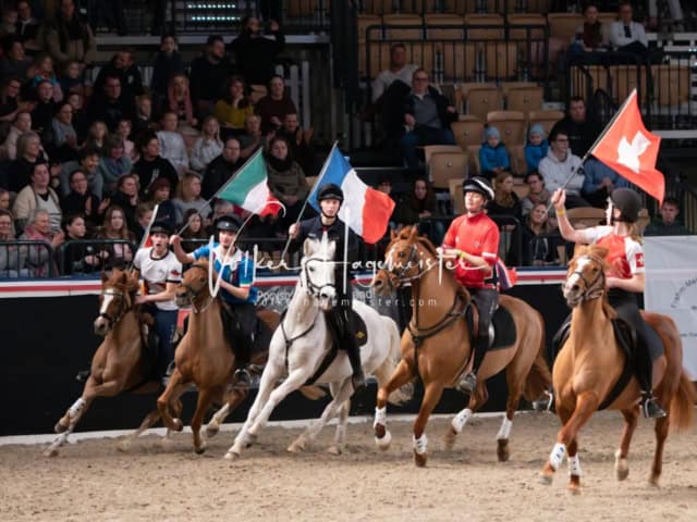 PSB Schaunachmittag 2