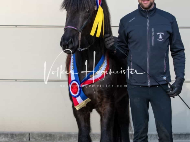 PSB Körung Sieger mehr folgt 27