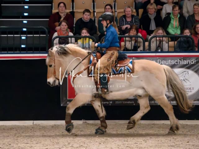 PSB Schaunachmittag 4