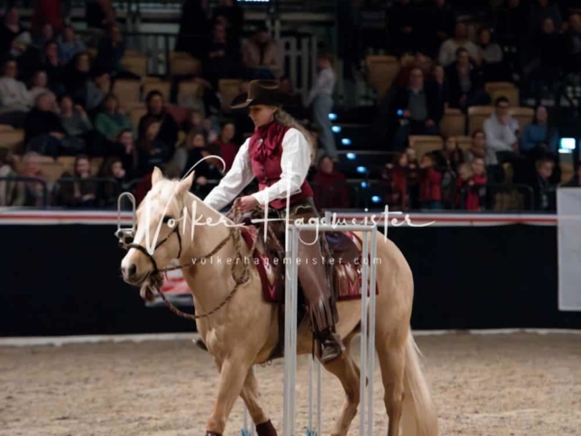 PSB Schaunachmittag 12