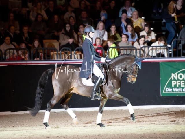 PSB Schaunachmittag 13