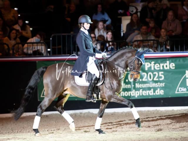 PSB Schaunachmittag 14