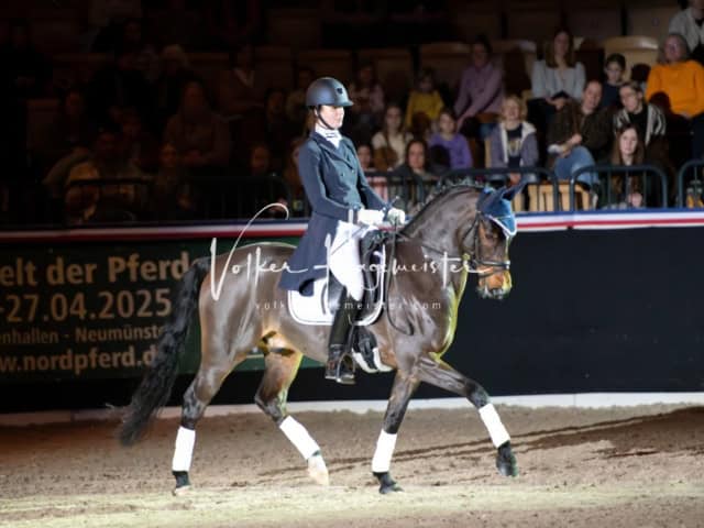 PSB Schaunachmittag 15