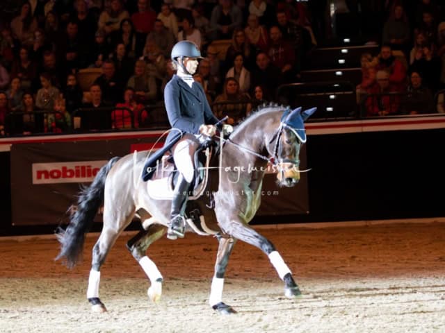 PSB Schaunachmittag 16