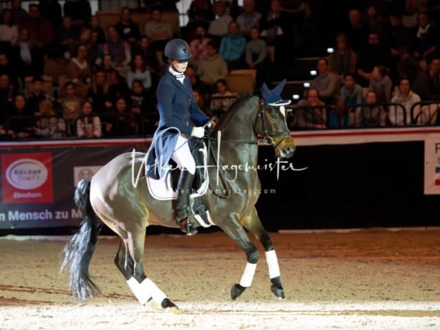 PSB Schaunachmittag 17