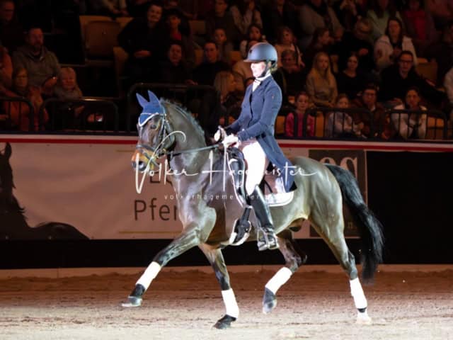 PSB Schaunachmittag 18