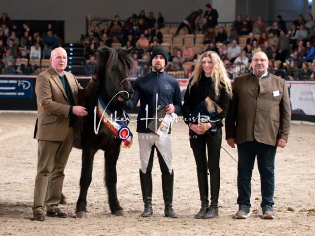 PSB Schaunachmittag 25