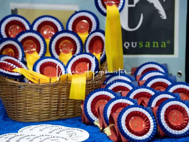 PSB Schaunachmittag 22