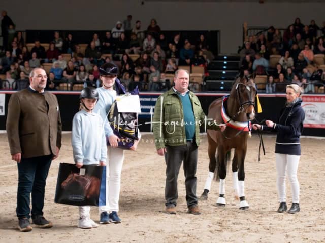 PSB Schaunachmittag 24