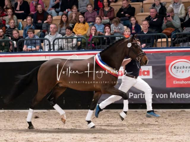 PSB Schaunachmittag 23